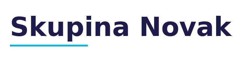 Skupina Novak logo